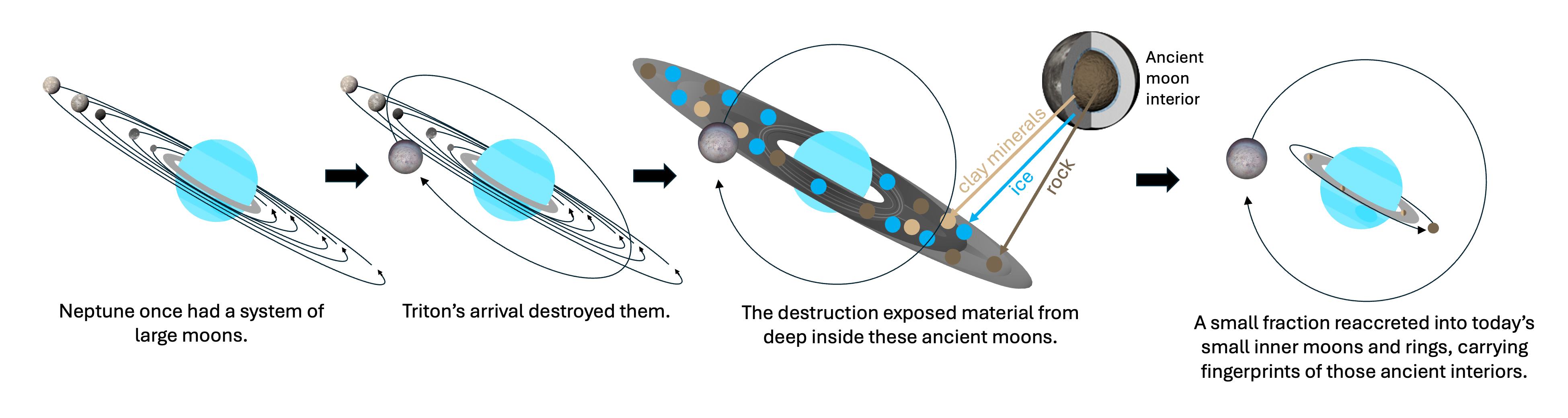 Proposed origin of Neptune's present-day inner moon system. Neptune once
had a system of large moons; Triton's arrival destroyed them, exposing material from
deep in their interiors. A small fraction reaccreted into today's small inner moons
and rings, carrying fingerprints of those ancient interiors.