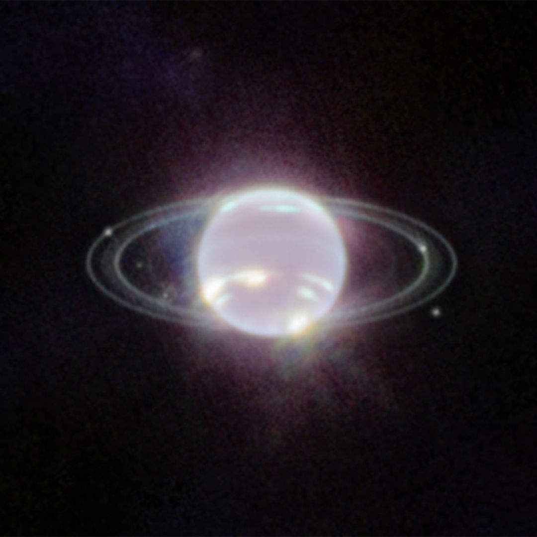 JWST Reveals Phyllosilicates on the Small Inner Moons of Neptune